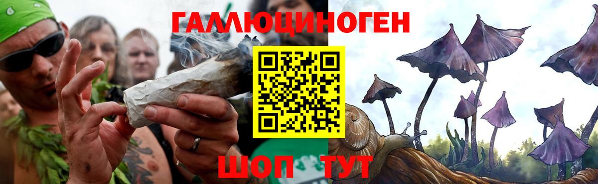 продажа наркотиков  Галлюциногенные грибы Psilocybe  Вход с VPN  Галлюциногенные грибы мухоморы  Клинцы 
